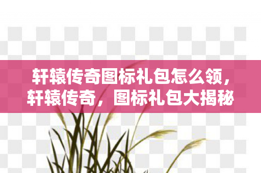 轩辕传奇图标礼包怎么领，轩辕传奇，图标礼包大揭秘