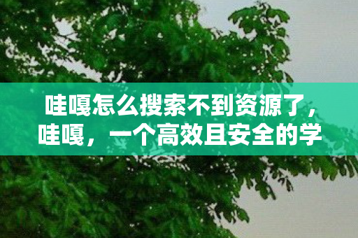 哇嘎怎么搜索不到资源了，哇嘎，一个高效且安全的学术资源搜索工具