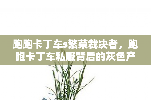 跑跑卡丁车s繁荣裁决者，跑跑卡丁车私服背后的灰色产业链