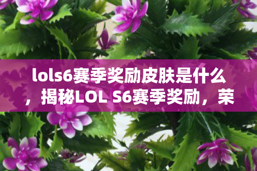 lols6赛季奖励皮肤是什么，揭秘LOL S6赛季奖励，荣耀与实力的象征