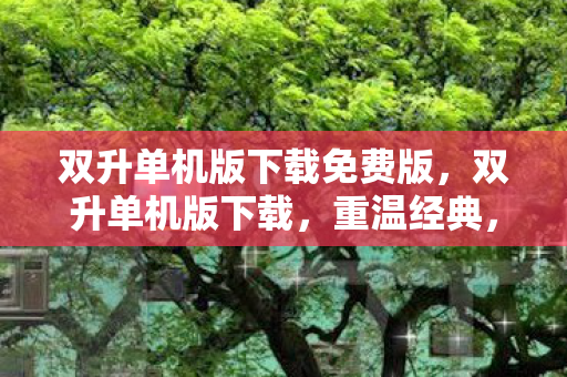 双升单机版下载免费版，双升单机版下载，重温经典，尽享便捷