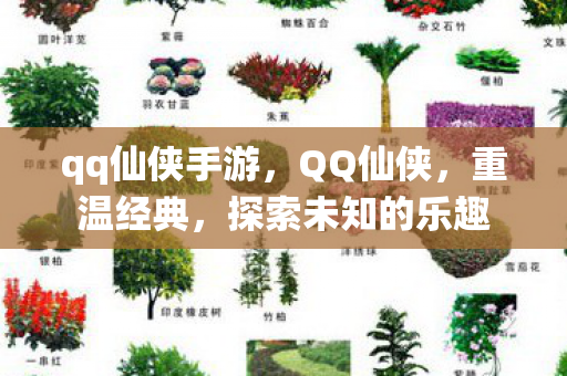 qq仙侠手游,QQ仙侠,重温经典,探索未知的乐趣 qq仙侠手游,QQ仙侠,重温经典,探索未知的乐趣