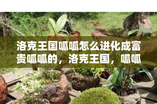 洛克王国呱呱怎么进化成富贵呱呱的，洛克王国，呱呱的进化之路——解锁富贵呱呱的奥秘