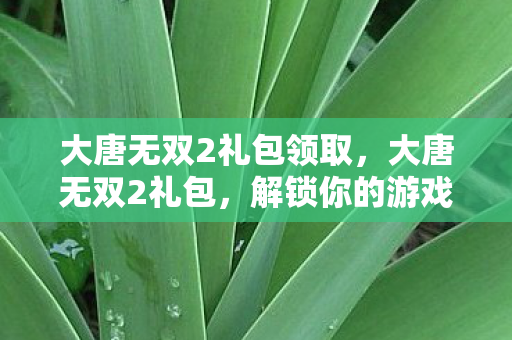 大唐无双2礼包领取,大唐无双2礼包,解锁你的游戏之旅 大唐无双2礼包领取,大唐无双2礼包,解锁你的游戏之旅