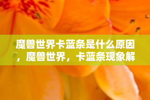 魔兽世界卡蓝条是什么原因，魔兽世界，卡蓝条现象解析与应对攻略