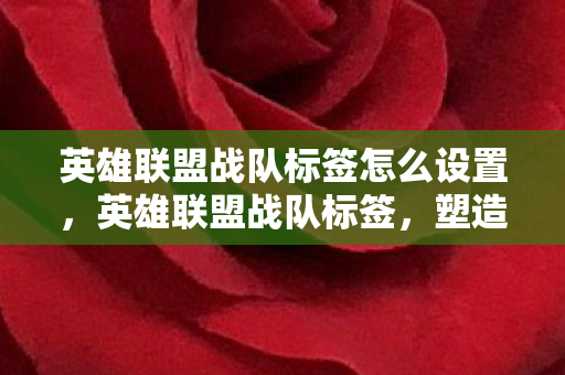 英雄联盟战队标签怎么设置，英雄联盟战队标签，塑造战队文化的独特标识