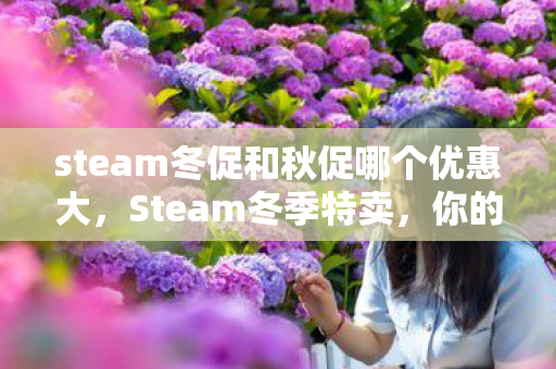 steam冬促和秋促哪个优惠大，Steam冬季特卖，你的终极游戏购物指南