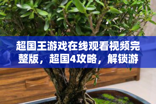 超国王游戏在线观看视频完整版，超国4攻略，解锁游戏新境界