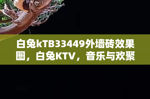 白兔kTB33449外墙砖效果图，白兔KTV，音乐与欢聚的梦幻之地