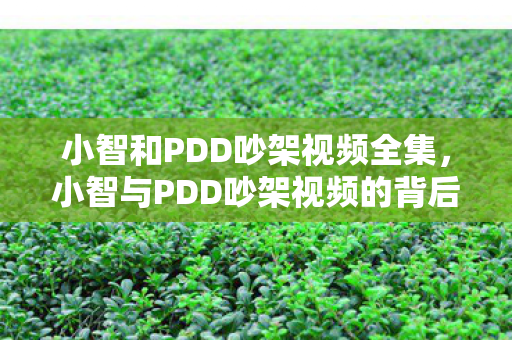 小智和PDD吵架视频全集，小智与PDD吵架视频的背后故事