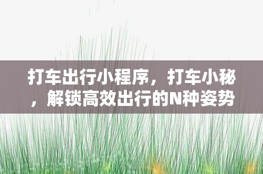 打车出行小程序,打车小秘,解锁高效出行的N种姿势 打车出行小程序,打车小秘,解锁高效出行的N种姿势