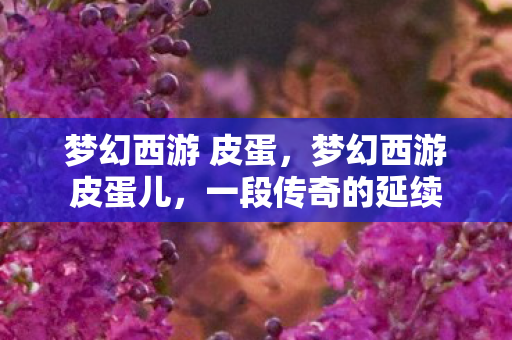 梦幻西游 皮蛋，梦幻西游皮蛋儿，一段传奇的延续