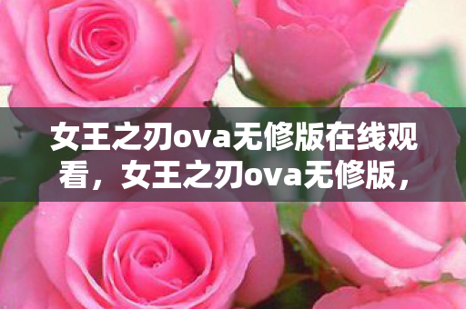 女王之刃ova无修版在线观看，女王之刃ova无修版，一场视觉与心灵的盛宴