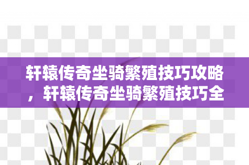 轩辕传奇坐骑繁殖技巧攻略，轩辕传奇坐骑繁殖技巧全解析