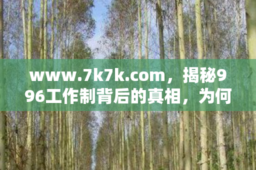 www.7k7k.com，揭秘996工作制背后的真相，为何它成为现代职场的一种趋势？