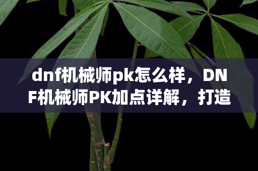 dnf机械师pk怎么样,DNF机械师PK加点详解,打造顶尖战斗力的关键 dnf机械师pk怎么样,DNF机械师PK加点详解,打造顶尖战斗力的关键