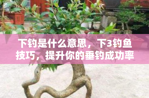 下钓是什么意思，下3钓鱼技巧，提升你的垂钓成功率