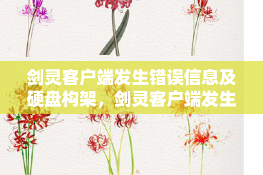 剑灵客户端发生错误信息及硬盘构架，剑灵客户端发生错误，解决之道与常见原因解析