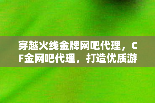 穿越火线金牌网吧代理，CF金网吧代理，打造优质游戏体验，引领电竞新风尚