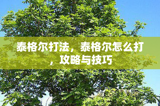 泰格尔打法，泰格尔怎么打，攻略与技巧