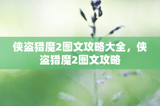 侠盗猎魔2图文攻略大全,侠盗猎魔2图文攻略 侠盗猎魔2图文攻略大全,侠盗猎魔2图文攻略