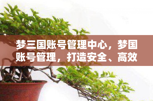 梦三国账号管理中心，梦国账号管理，打造安全、高效的数字生活