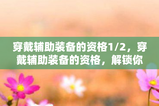 穿戴辅助装备的资格1/2，穿戴辅助装备的资格，解锁你的潜能