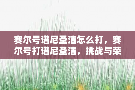 赛尔号谱尼圣洁怎么打，赛尔号打谱尼圣洁，挑战与荣耀的交织
