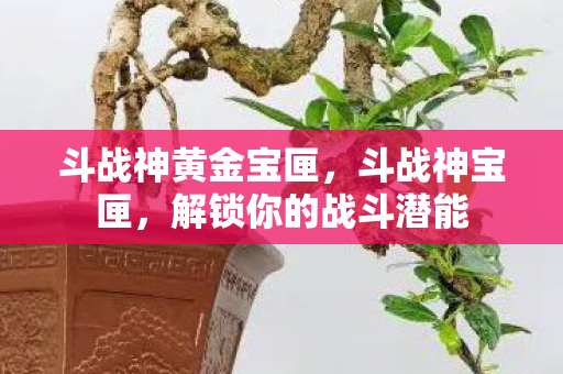 斗战神黄金宝匣,斗战神宝匣,解锁你的战斗潜能 斗战神黄金宝匣,斗战神宝匣,解锁你的战斗潜能