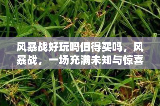 风暴战好玩吗值得买吗,风暴战,一场充满未知与惊喜的冒险之旅 风暴战好玩吗值得买吗,风暴战,一场充满未知与惊喜的冒险之旅
