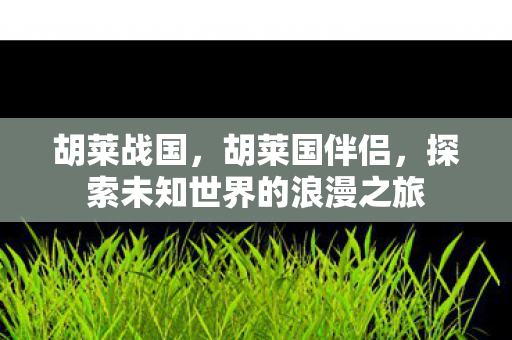 胡莱战国,胡莱国伴侣,探索未知世界的浪漫之旅 胡莱战国,胡莱国伴侣,探索未知世界的浪漫之旅