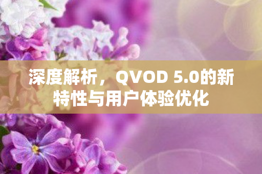深度解析，QVOD 5.0的新特性与用户体验优化