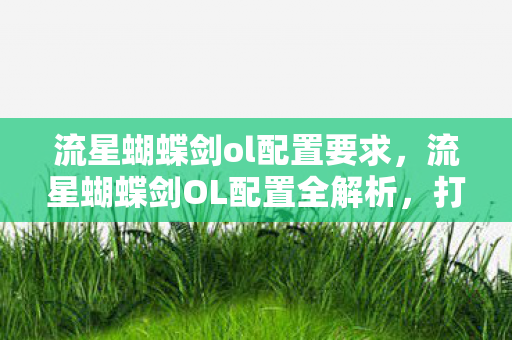 流星蝴蝶剑ol配置要求，流星蝴蝶剑OL配置全解析，打造流畅游戏体验