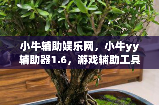 小牛辅助娱乐网,小牛yy辅助器1.6,游戏辅助工具的新选择 小牛辅助娱乐网,小牛yy辅助器1.6,游戏辅助工具的新选择