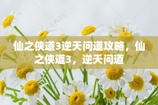 仙之侠道3逆天问道攻略，仙之侠道3，逆天问道