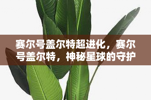 赛尔号盖尔特超进化,赛尔号盖尔特,神秘星球的守护者 赛尔号盖尔特超进化,赛尔号盖尔特,神秘星球的守护者