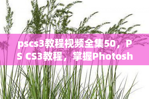 pscs3教程视频全集50,PS CS3教程,掌握Photoshop经典版的核心技能 pscs3教程视频全集50,PS CS3教程,掌握Photoshop经典版的核心技能