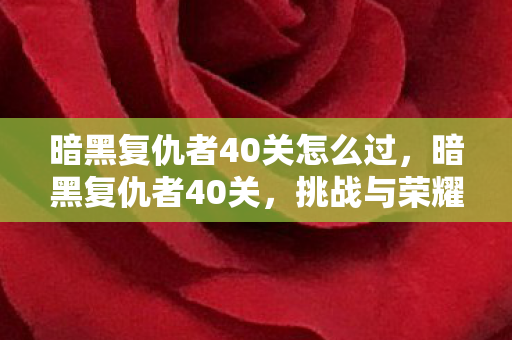 暗黑复仇者40关怎么过，暗黑复仇者40关，挑战与荣耀的终极考验