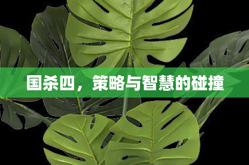 国杀四，策略与智慧的碰撞