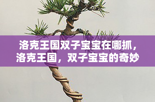 洛克王国双子宝宝在哪抓，洛克王国，双子宝宝的奇妙冒险