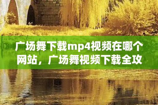 广场舞下载mp4视频在哪个网站,广场舞视频下载全攻略,轻松获取高清MP4资源 广场舞下载mp4视频在哪个网站,广场舞视频下载全攻略,轻松获取高清MP4资源