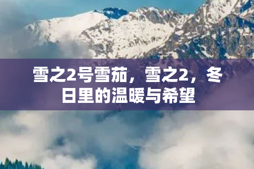 雪之2号雪茄,雪之2,冬日里的温暖与希望 雪之2号雪茄,雪之2,冬日里的温暖与希望