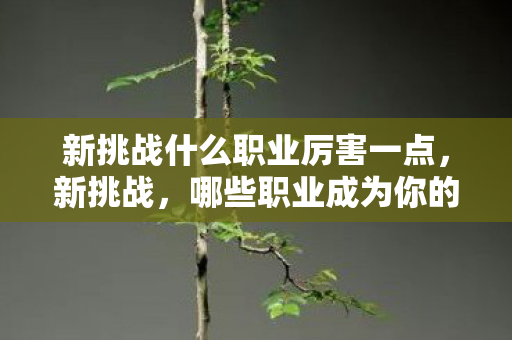 新挑战什么职业厉害一点,新挑战,哪些职业成为你的制胜法宝? 新挑战什么职业厉害一点,新挑战,哪些职业成为你的制胜法宝?