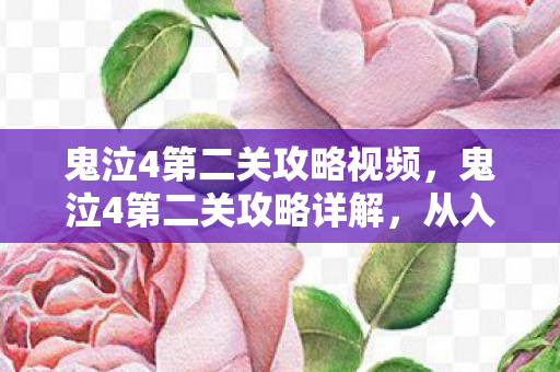鬼泣4第二关攻略视频，鬼泣4第二关攻略详解，从入门到精通