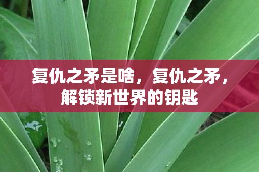 复仇之矛是啥，复仇之矛，解锁新世界的钥匙