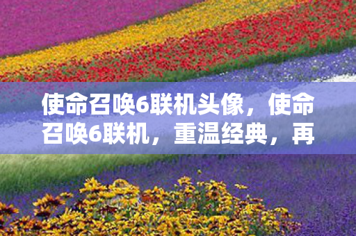 使命召唤6联机头像,使命召唤6联机,重温经典,再战沙场 使命召唤6联机头像,使命召唤6联机,重温经典,再战沙场