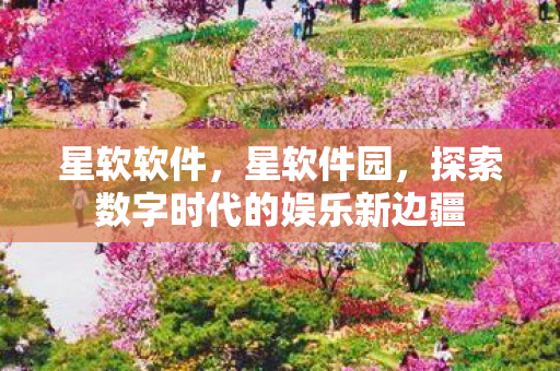 星软软件,星软件园,探索数字时代的娱乐新边疆 星软软件,星软件园,探索数字时代的娱乐新边疆