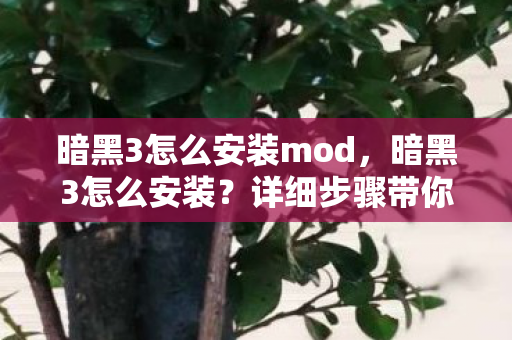暗黑3怎么安装mod,暗黑3怎么安装?详细步骤带你轻松上手 暗黑3怎么安装mod,暗黑3怎么安装?详细步骤带你轻松上手