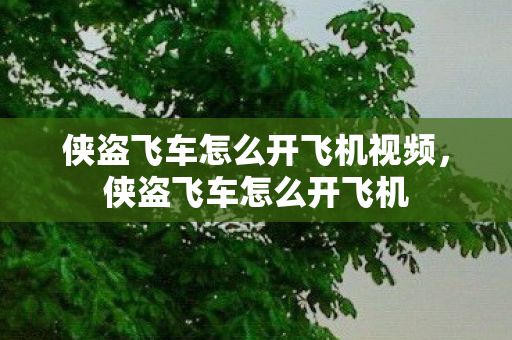 侠盗飞车怎么开飞机视频,侠盗飞车怎么开飞机 侠盗飞车怎么开飞机视频,侠盗飞车怎么开飞机