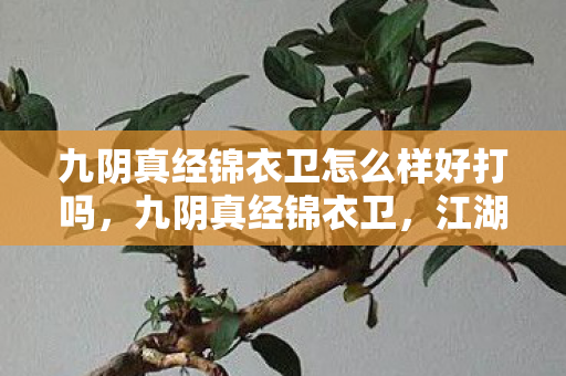 九阴真经锦衣卫怎么样好打吗，九阴真经锦衣卫，江湖中的神秘力量